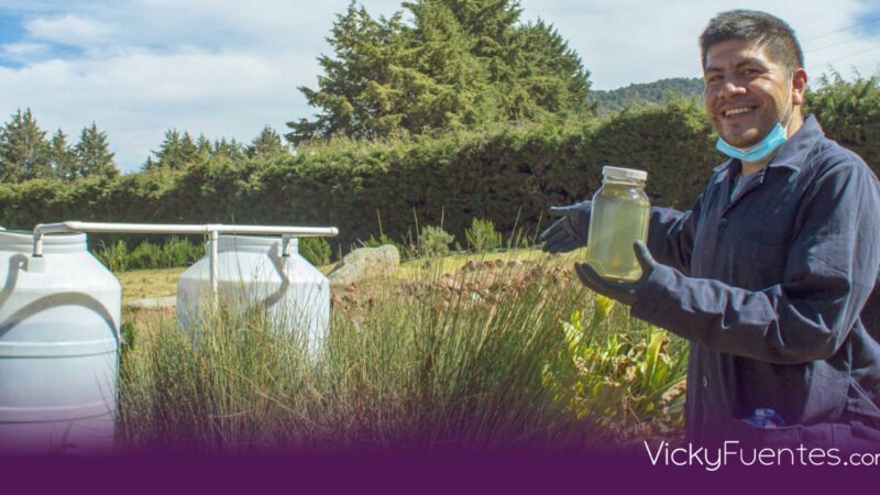 Tecnología de personas egresadas de la BUAP saneará agua en el festival Tecate Emblema 2027